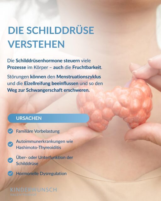 Eine Störung der Schilddrüse kann einen erheblichen Einfluss auf die Fruchtbarkeit haben. Eine frühzeitige Untersuchung und Behandlung sind entscheidend für eine gesunde Schwangerschaft.

Eine gut eingestellte Schilddrüsenfunktion kann einen erheblichen Unterschied für den Erfolg eines Kinderwunsches machen. Es ist wichtig, diese Aspekte in die Familienplanung einzubeziehen und professionelle Beratung in Anspruch zu nehmen.

Vertrauen Sie auf die Expertise von unserem Team beim Valentinshof.

#kinderwunsch #kinderwunschhamburg #hamburg #hormone #hormongesundheit #kiwuverbindet #frausein