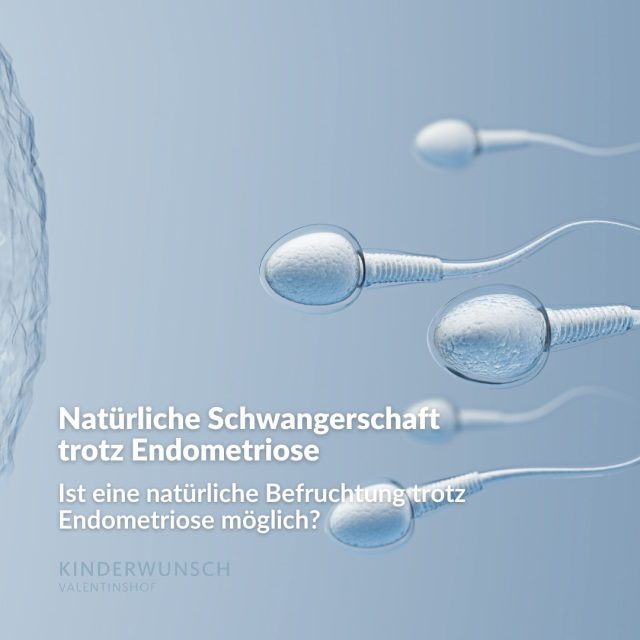 Endometriose kann die Chancen auf eine natürliche Empfängnis beeinflussen. Bis zu 50 % der Frauen mit Endometriose werden jedoch ohne medizinische Intervention schwanger. Besonders in den Monaten nach dem Absetzen der Pille oder einer operativen Entfernung von Endometriose-Herden sind die Erfolgsaussichten erhöht.

Sollte nach 6 bis 9 Monaten keine Schwangerschaft eintreten, ist es ratsam, frühzeitig eine Beratung durch Spezialisten für Reproduktionsmedizin in Anspruch zu nehmen. Mit zunehmendem Alter, insbesondere ab 35 Jahren, sinkt die Fruchtbarkeit, weshalb eine rechtzeitige Beratung wertvolle Orientierung bieten kann.

Jeder Fall ist individuell – Wir arbeiten eng mit dem Endometriosezentrum Albertinenkrankenhaus zusammen und entwickeln gemeinsam den besten Ansatz für Sie.

#EndoMarch #KinderwunschHamburg #Endometriose #EndoCommunity #EndometrioseBewusstsein