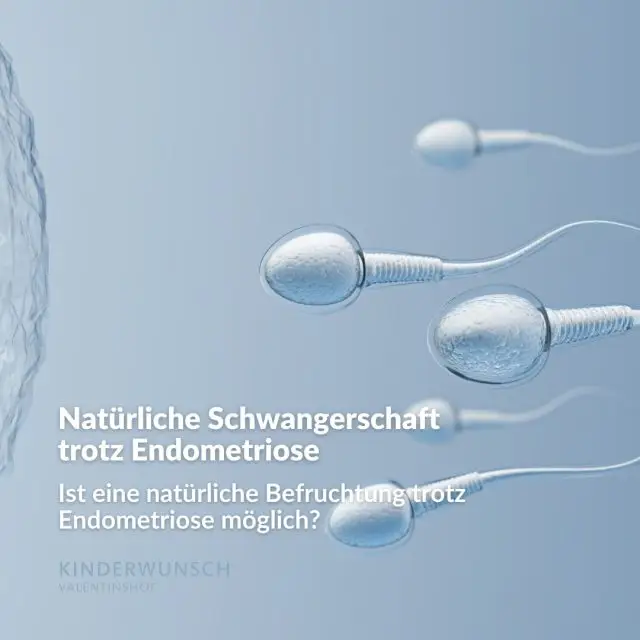 Endometriose kann die Chancen auf eine natürliche Empfängnis beeinflussen. Bis zu 50 % der Frauen mit Endometriose werden jedoch ohne medizinische Intervention schwanger. Besonders in den Monaten nach dem Absetzen der Pille oder einer operativen Entfernung von Endometriose-Herden sind die Erfolgsaussichten erhöht.

Sollte nach 6 bis 9 Monaten keine Schwangerschaft eintreten, ist es ratsam, frühzeitig eine Beratung durch Spezialisten für Reproduktionsmedizin in Anspruch zu nehmen. Mit zunehmendem Alter, insbesondere ab 35 Jahren, sinkt die Fruchtbarkeit, weshalb eine rechtzeitige Beratung wertvolle Orientierung bieten kann.

Jeder Fall ist individuell – Wir arbeiten eng mit dem Endometriosezentrum Albertinenkrankenhaus zusammen und entwickeln gemeinsam den besten Ansatz für Sie.

#EndoMarch #KinderwunschHamburg #Endometriose #EndoCommunity #EndometrioseBewusstsein