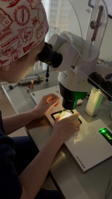 Wenn ein Embryo aufgetaut wird, zählt jeder einzelne Schritt.

In diesem Video sehen Sie, wie die Zuordnung in unserem Labor abläuft: von der Auswahl über die doppelte Verifizierung per Barcode bis zum Mikroskop. Jeder Embryo wird eindeutig identifiziert und dem richtigen Behandlungsprozess zugeordnet.

Genau diese Sorgfalt gibt unseren Patientinnen die Sicherheit, die sie in dieser Phase verdienen.

#Kinderwunschklinik #Kinderwunsch #Embryotransfer #Kinderwunschbehandlung #Hamburg