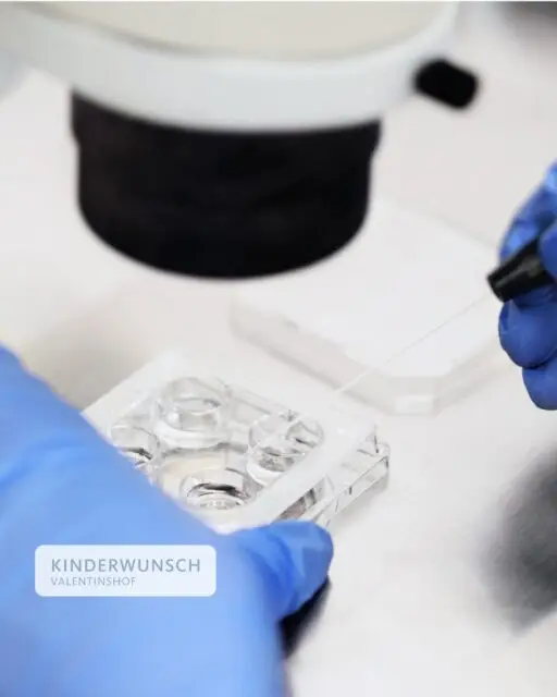 Schritt für Schritt zur Erfüllung Ihres Kinderwunsches – in der Kinderwunschklinik Valentinshof setzen wir auf die neuesten Methoden und Therapien der Reproduktionsmedizin.

Von der Hormonstimulation über die In-vitro-Fertilisation (IVF) bis zur Intrazytoplasmatischen Spermieninjektion (ICSI) bieten wir ein breites Spektrum an Behandlungsmöglichkeiten. 

Verlassen Sie sich auf unsere Expertise und eine moderne, professionelle Begleitung auf dem Weg zu Ihrer Elternschaft.

#kinderwunsch #kinderwunschhamburg #hamburg #hormone #hormongesundheit #kiwuverbindet #frausein #kinderwunschmythen #schwanger #kiwucommunity #künstlichebefruchtung #pregnant #kiwu #kiwukämpferin #kinderwunsch2024 #regenbogenbaby #regenbogenbabys #schwangernachfehlgeburt #icsibaby #icsimom